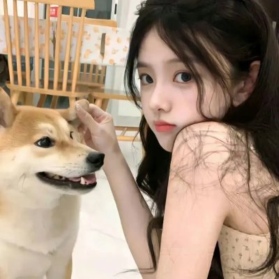 爱的迫降 海报