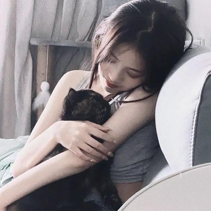 影子与谎言 海报